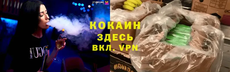 COCAIN Fish Scale  Болгар 