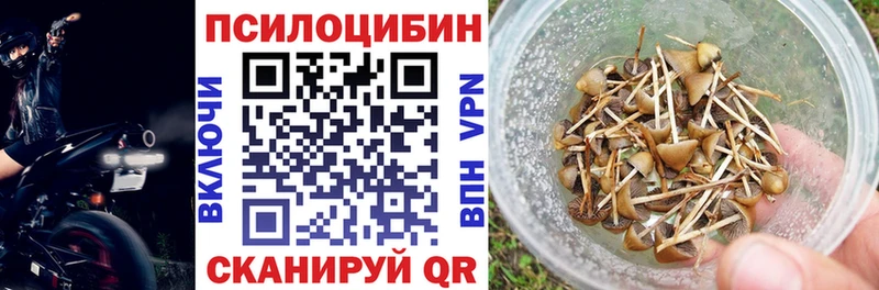 Галлюциногенные грибы MAGIC MUSHROOMS  даркнет сайт  Болгар 